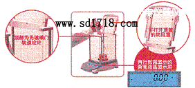 ���S���M����ƽ,110g,0.0001g