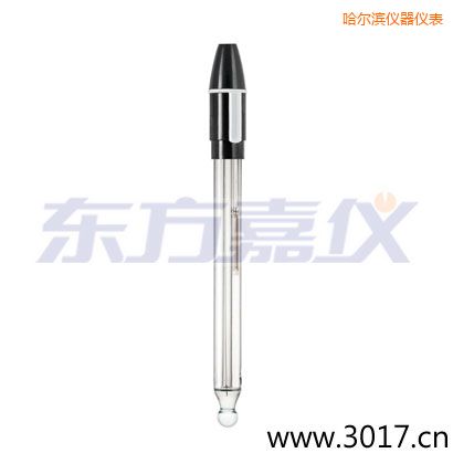 哈爾濱玻璃外殼可填充雙鹽橋復(fù)合電極