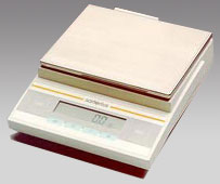 西安電子天平,3100g,0.1g